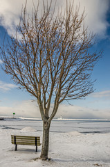 Wall Mural - Bench With a View