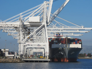 Cargo Ship Loaded and Docked Next to Cranes in Port