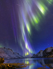 the polar lights in norway . ersfjord.tromso