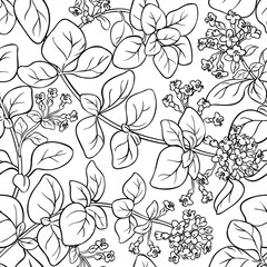 Sticker - oregano seamless pattern