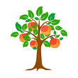 Tree of a peach. Vector design, background, symbol, abstract, icon, 