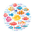 Colorful aquarium fish set in circle vector isolated. Tropical fishes collection