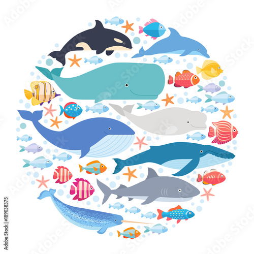 Cuadros en Lienzo Marine mammals and fishes set in circle