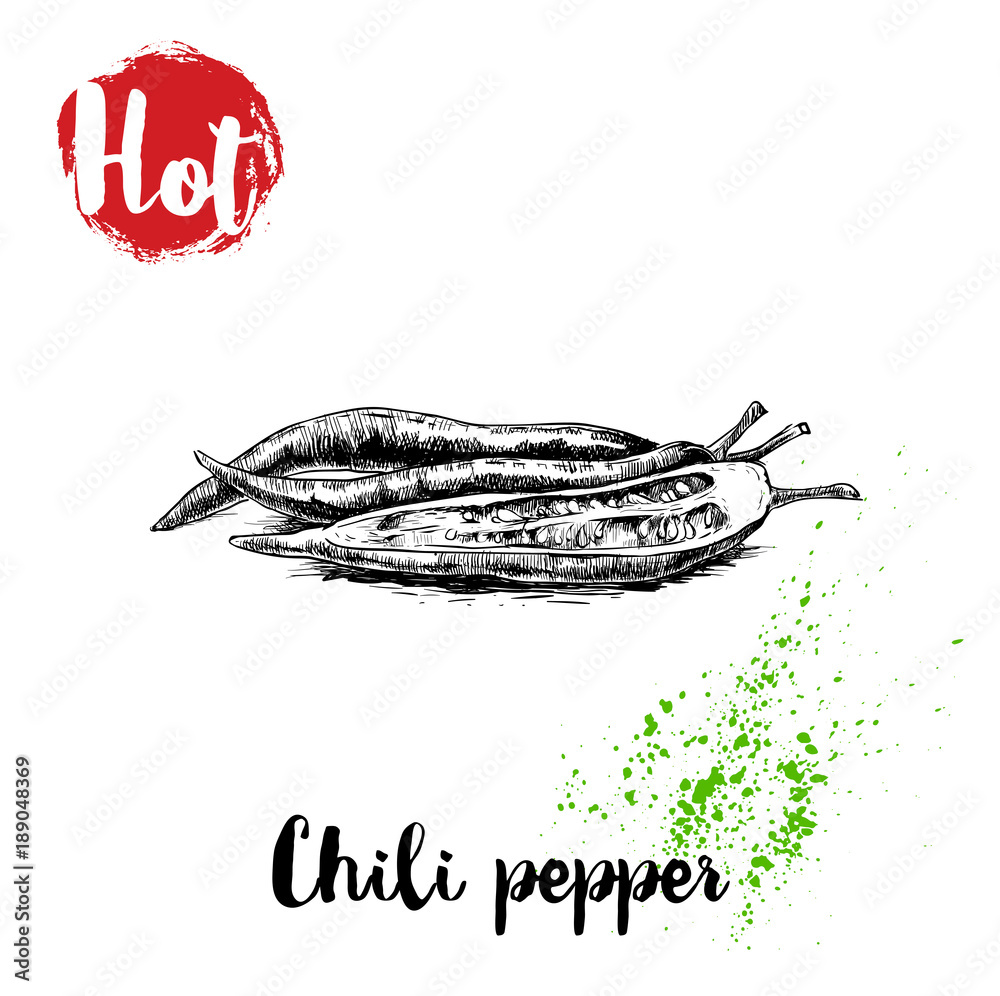 Hand drawn sketch style hot chili peppers poster. Whole an cut. Vector ...