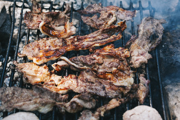 Barbecued Pork & Chicken on Grill