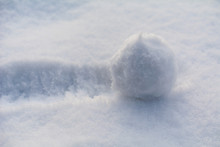 The Snowball Rolls Over The Snow; Close Up; Selective Focus