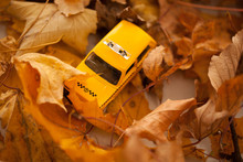 Yellow Toy Taxi In A Autumn Leafs
