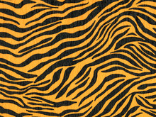 Crepe Paper Made Of Zebra Animal Pattern For Wallpaper Or Backgrounds