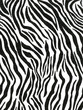 Crepe paper that ha s a zebra pattern for wallpaper or backgrounds