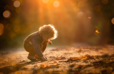 Small boy playing in outdoor in autumnal light