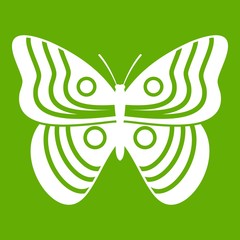 Wall Mural - Stripped butterfly icon green