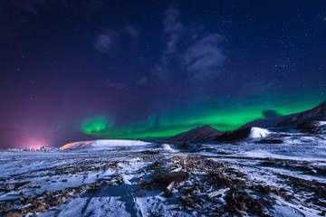 Wall Mural - the polar arctic northern lights aurora borealis sky star in norway svalbard in longyearbyen city to