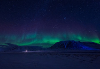 Wall Mural - the polar arctic northern lights aurora borealis sky star in norway svalbard in longyearbyen city to