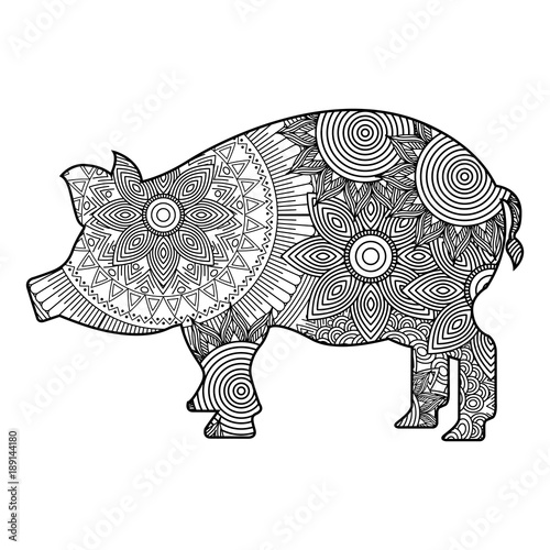 Zentangle Pig Coloring Pages : Coloring Pages Coloring Book For