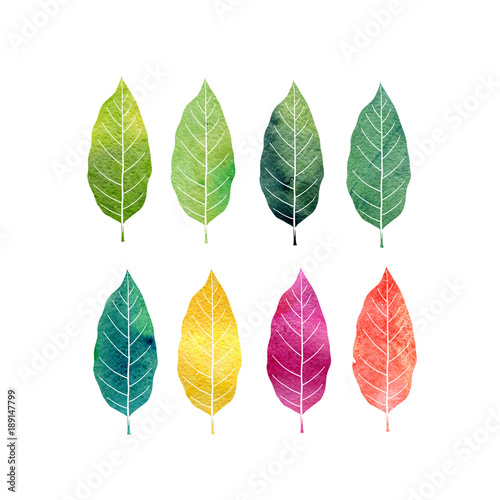 Naklejka na szybę Kolorowe liście drzew