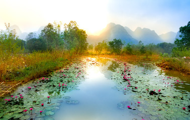 landscape dawn in Yen stream in Hanoi, Vietnam