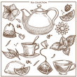 Tea collection vector sketch icons of cups, teapot and teabags or herbal flavorings
