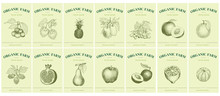 Labels With Fruits And Berries. Set Templates Price Tags For Shops And Markets Of Organic Food. Vector Illustration Art. Vintage. Hand Drawn Nature Objects.