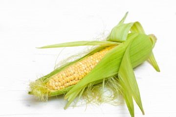 two fresh corn cobs on white background.