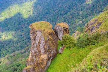 Kew Mae Pan Nature Trail Trekking trail leading through jungle