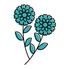 two flowers decorative spring image vector illustration