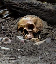 Skull And Bones Digged From Pit In The Scary Graveyard