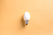 Light Bulb Egg shell on Base Concept  Energy Saving 
