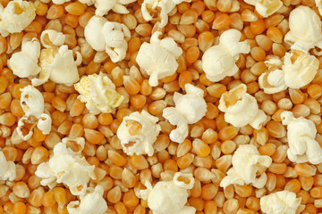 Wall Mural - Dried corn kernels and popped popcorn