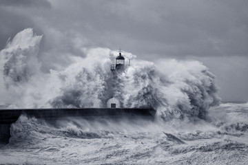 Wall Mural - Stormy big waves