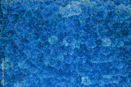 fondo de flores azules