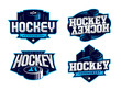 Modern professional hockey logo set for sport team
