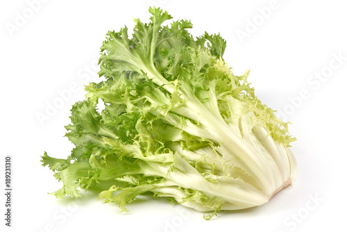 Fresh Frisee Lettuce Crispy Endive Close Up Isolated On White Background Stock Photo Adobe Stock