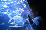 Fototapeta  - Boy looking at fish in aquarium