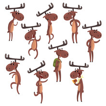 Cartoon Set Of Funny Brown Moose In Various Poses. Eurasian Elk With Big Horns Mammal Forest Animal Character. Zoo Theme. Flat Vector For Postcard Or Children S Book