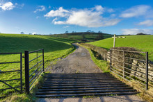 An Open Gate And A Cattle Grid Leading To A Country Track