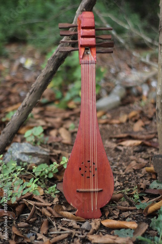 Alat Musik Panting Stock Photo Adobe Stock