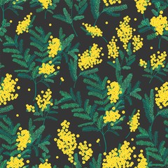 Poster - Natural seamless pattern with gorgeous blooming mimosa flowers on black background. Backdrop with spring flowering plants. Vector illustration in vintage style for textile print, wrapping paper.