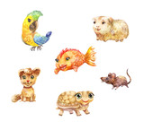 Fototapeta Dziecięca - Watercolor pets, little cute illustrations suitable for children's goods' design