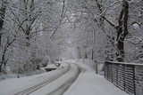 Fototapeta Las - zima śnieg krajobraz drzewa droga