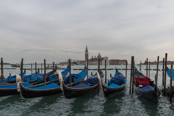  venezia