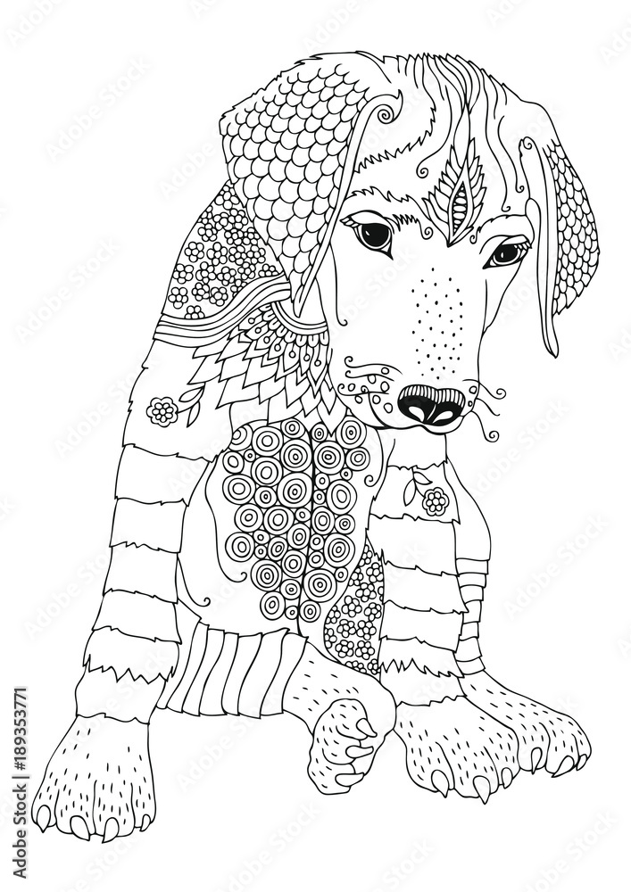Puppy Rhodesian Ridgeback Coloring Page Image vectorielle Stock Puppy of rhodesian ridgeback. Hand drawn ...