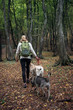 © IoaBal - Young woman hiking with dogs in autumn forest