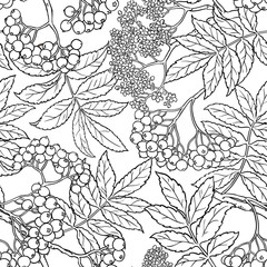 Canvas Print - rowan seamless pattern