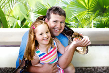 Father And Child Hold And Feed Python Snake At Zoo