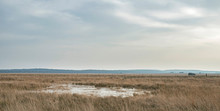 Wide Plain With Tall Yellow Grass And Frozen Fen Under Cloudy Sky.