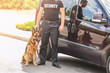 © Africa Studio - Security guard with dog near car, outdoors