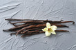 Vanilla sticks and flower on grey background