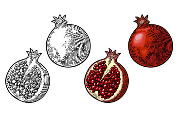 Wall Mural - Whole and half garnet fruit with seed. Vector engraving