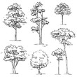 Set of Hand Drawn Trees : Vector Illustration