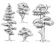 Set of Hand Drawn Trees : Vector Illustration